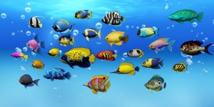 Bắn Cá Fafa là phiên bản game nâng cấp với nhiều điểm mới lạ